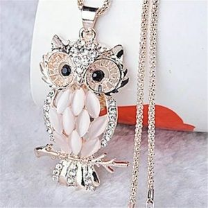 ❤️gorgeous opal owl long statement necklace